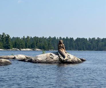 Rainy Lake Aristocracy